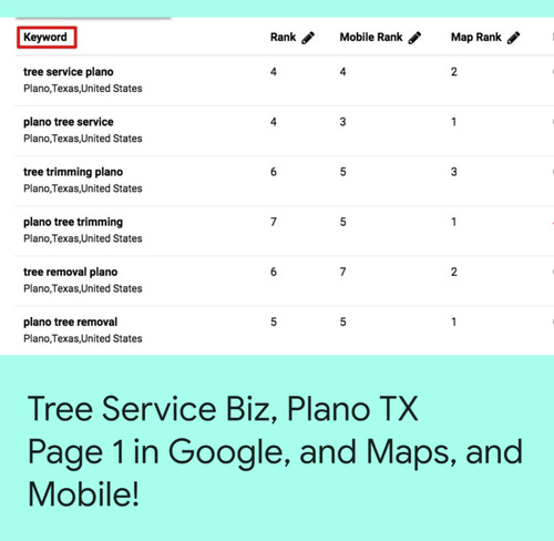 Tree Service Plano TX SEO results